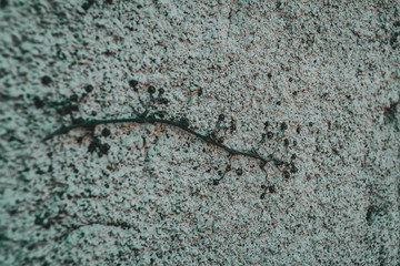  texture of a concrete wall