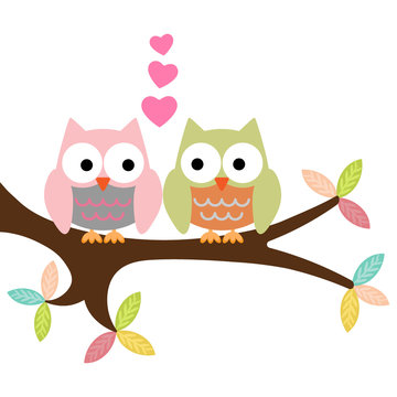 two owls on a branch with hearts