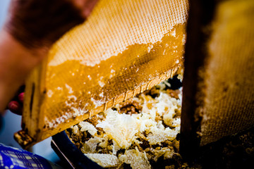 The frames are full of honeysto hives with bees