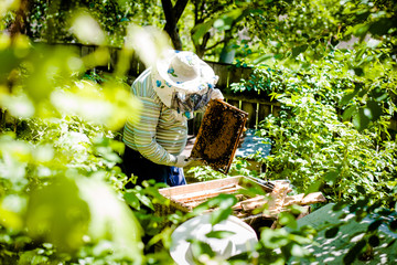 The beekeeper stands near to hives with bees