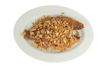 asia-asian food. thai food. fried nile tilapia river fish with garlic. on dish ceramic. isolated on white background