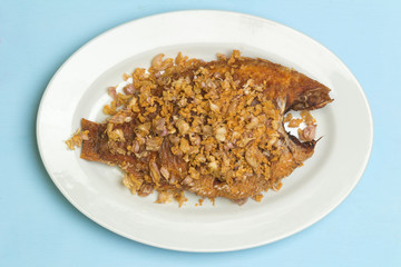 asia-asian food. thai food. fried nile tilapia river fish with garlic. on dish ceramic. on blue wood background