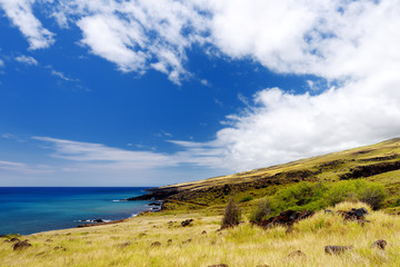 Fototapeta na wymiar Beautiful landscape of south side of the Big Island of Hawaii