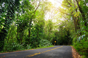 Famous Road to Hana fraught with narrow one-lane bridges, hairpin turns and incredible island views, curvy coastal road with views of cliffs, waterfalls, and miles of rainforest. Maui, Hawaii