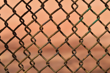Fototapeta premium A fence made of iron net.