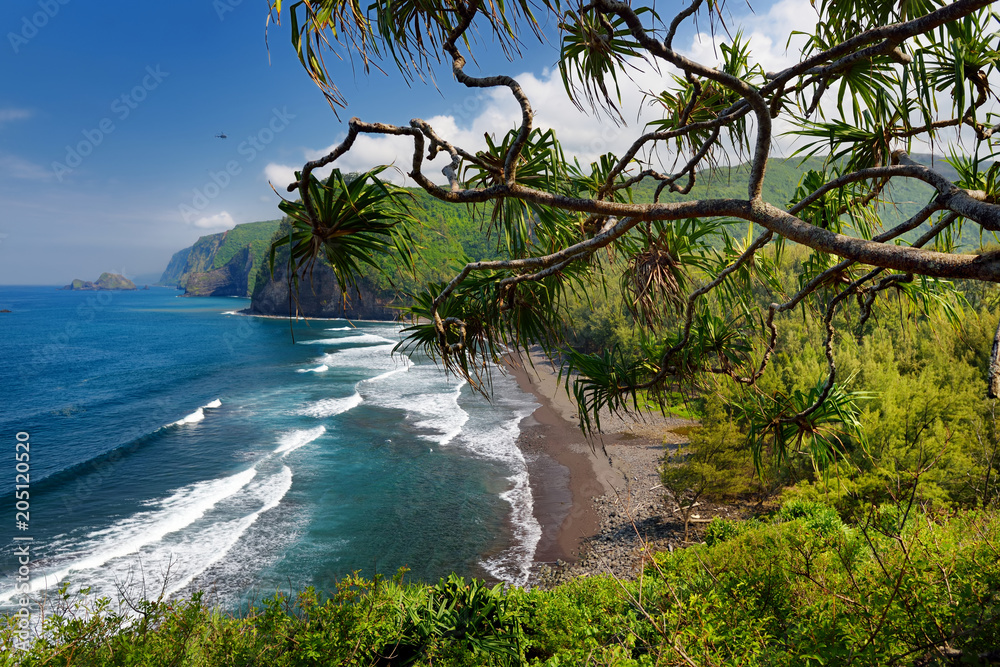 Poster stunning view of rocky beach of pololu valley, big island, hawaii, taken from pololu trail, hawaii