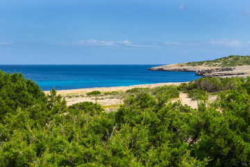 Fototapeta na wymiar Mallorca, Rocky cliffs of island coast behind green trees in springtime