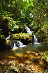 Fabulous Onomea Falls located in Hawaii Tropical Botanical Garden on the Big Island of Hawaii