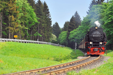 Einfahrt Brockenbahn in Drei Annen Hohne