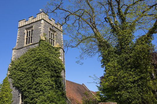 Colchester Natural History Museum