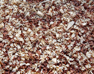 Wood chippings, scraps and sawdust as a background texture.