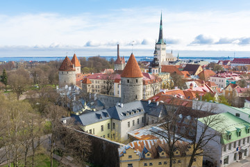 Fototapeta na wymiar Tallinn. View of the old town