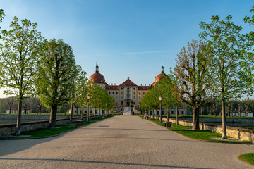 Fototapeta premium Castle Moritzburg in Saxony near Dresden. Pond reflection. Springtime. Germany.