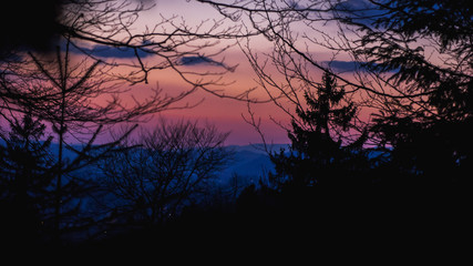 Obraz premium Forest Valley Sunset