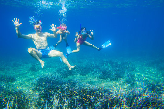 Family dives into the sea in masks