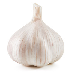 Garlic Isolated on white