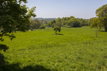 Fototapeta premium Battle of Hastings Battlefield East Sussex