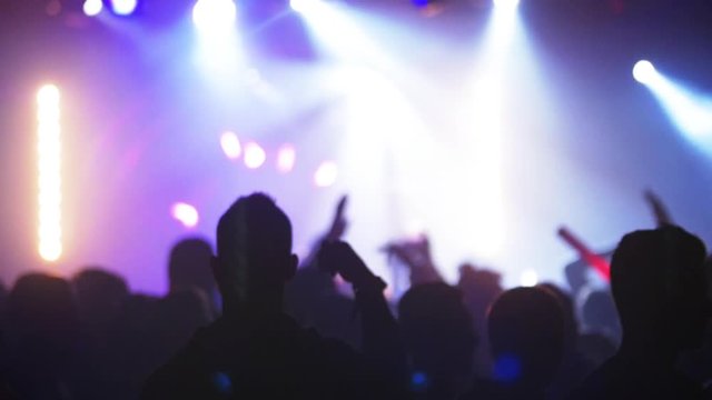Slow motion, people dancing at concert