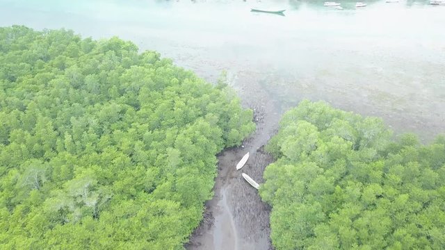 Tilt up aerial, river leads to scenic bay in Bali