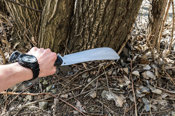 Obraz premium Hack hay. Cut down the tree. To go with a knife.