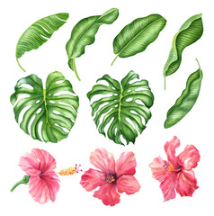 Fototapeta na wymiar Realistic tropical botanical foliage plants. Set of tropical leaves and flowers: green palm neanta, monstera, hibiscus. Hand painted watercolor illustration isolated on white.