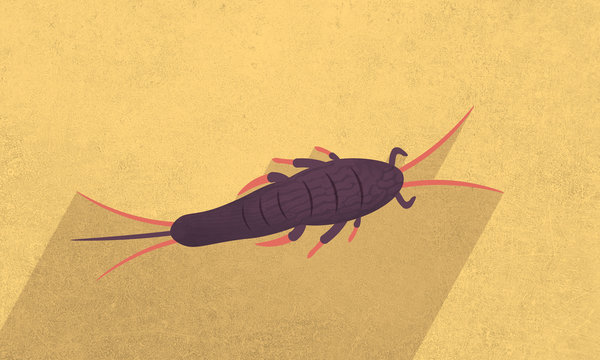 Illustration eines lila Silberfisches der &uuml;ber einen gelben Hintergrund krabbelt. Closeup.