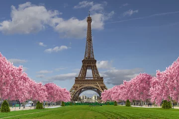 Wall murals Eiffel tower Eiffel tower from Camps of Mars over blue sky with clouds 