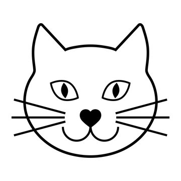 316,755 BESTE Katzenkopf BILDER, STOCK-FOTOS & -VEKTORGRAFIKEN | Adobe