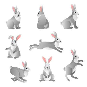 Cute grey rabbits set