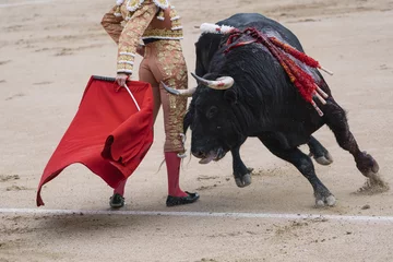 Foto op Plexiglas Stierenvechten Stierenvechter naast de stier in de ring