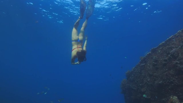 Freedivers discovering blue ocean water with corals fish in wreck