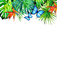 Hawaiian flowers, exotic plants, isolated on a white