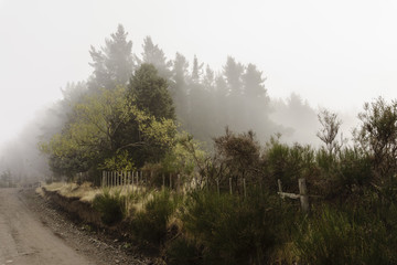 Foggy morning in Esquel, Patagonia.