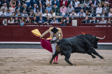 Man bullfighter dressed in bullfighting costume.