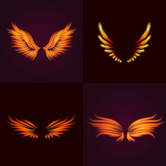 Bird fire wings vector fantasy feather burning fly mystic glow fiery burn hot art wings illustration on black.