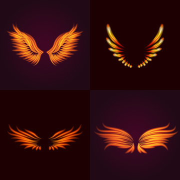 Bird fire wings vector fantasy feather burning fly mystic glow fiery burn hot art wings illustration on black.