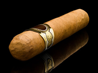 Cigar robusto a closeup a diagonal
