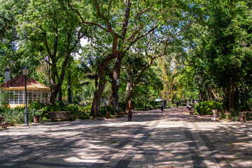 Estrela garden in Lisbon