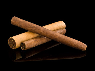 Group of cigars coronas and robusto