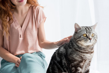 cropped shot of young woman petting cute tabby cat while sitting on windowsill