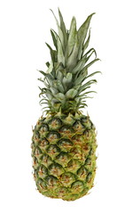 Fototapeta premium Pineapples Isolated on White Background. Pineapple tropical fruit or ananas isolated on white background cutout.