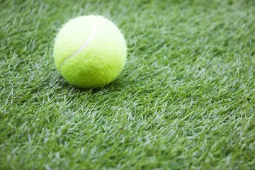 Tennis ball is on green grass
