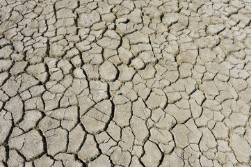 The parched soil