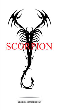 scorpion. black scorpion.