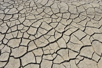 The parched soil