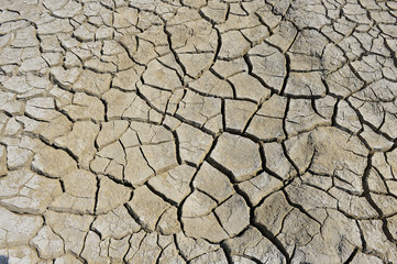 The parched soil