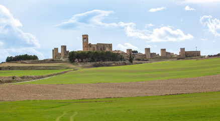 Fototapeta na wymiar fence of Artajona, Navarre