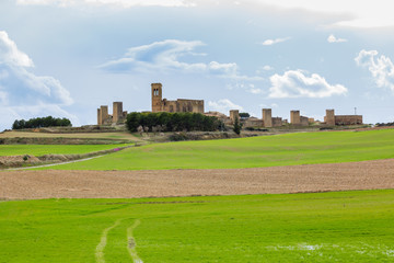 Fototapeta na wymiar fence of Artajona, Navarre