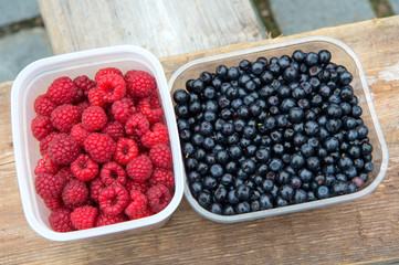 Fresh blueberries and juicy raspberries.