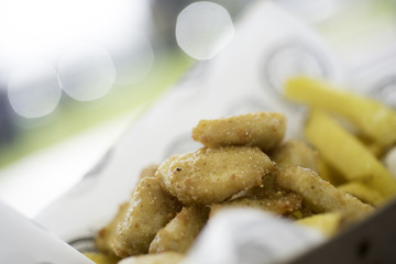 delicious hamburger with cheese.